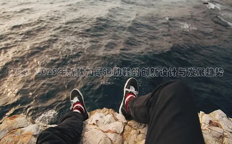 XCSport网页版入口